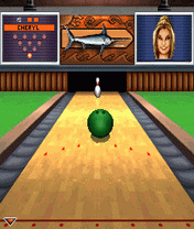 Brunswick Bowling