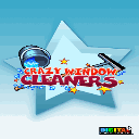 Crazy Window Cleaners