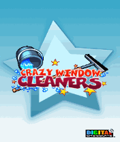 Crazy Window Cleaners
