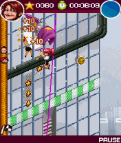 Crazy Window Cleaners