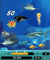 Feeding Frenzy
