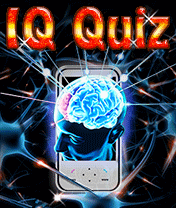 IQ Quiz