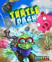 Turtle Dash
